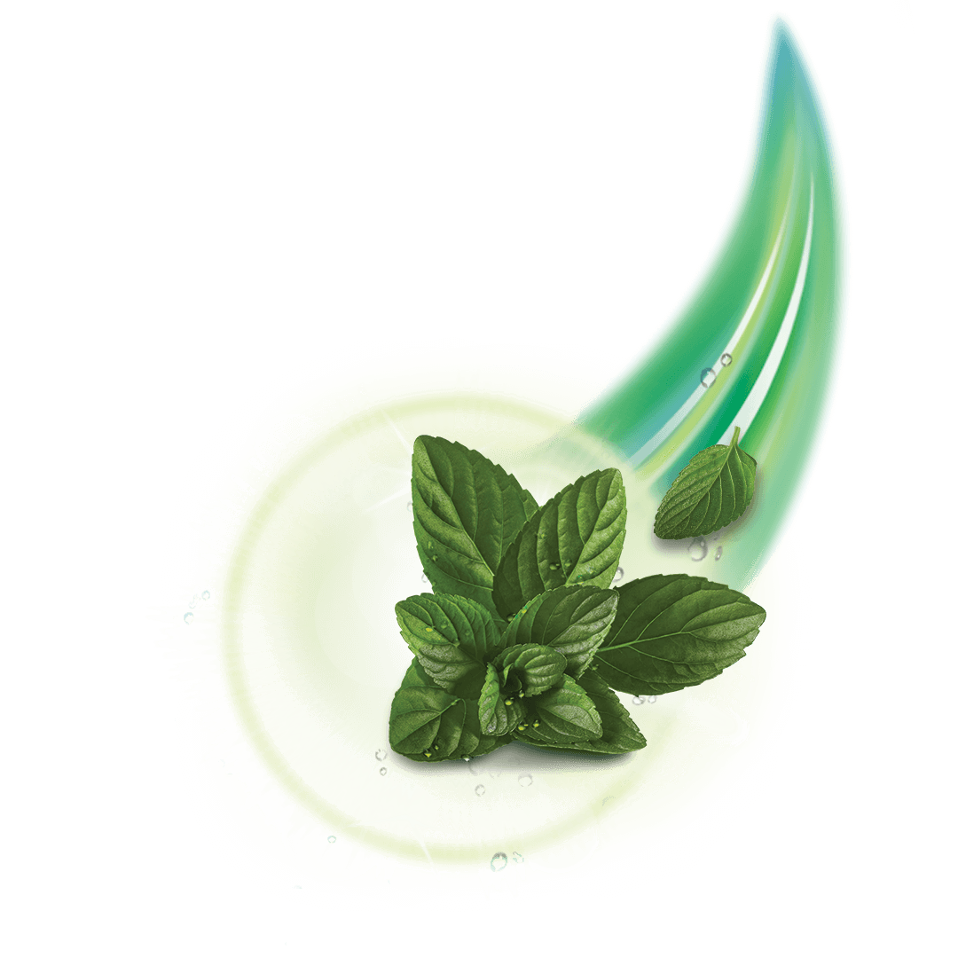 Aceite Herbal Aceite Herbal