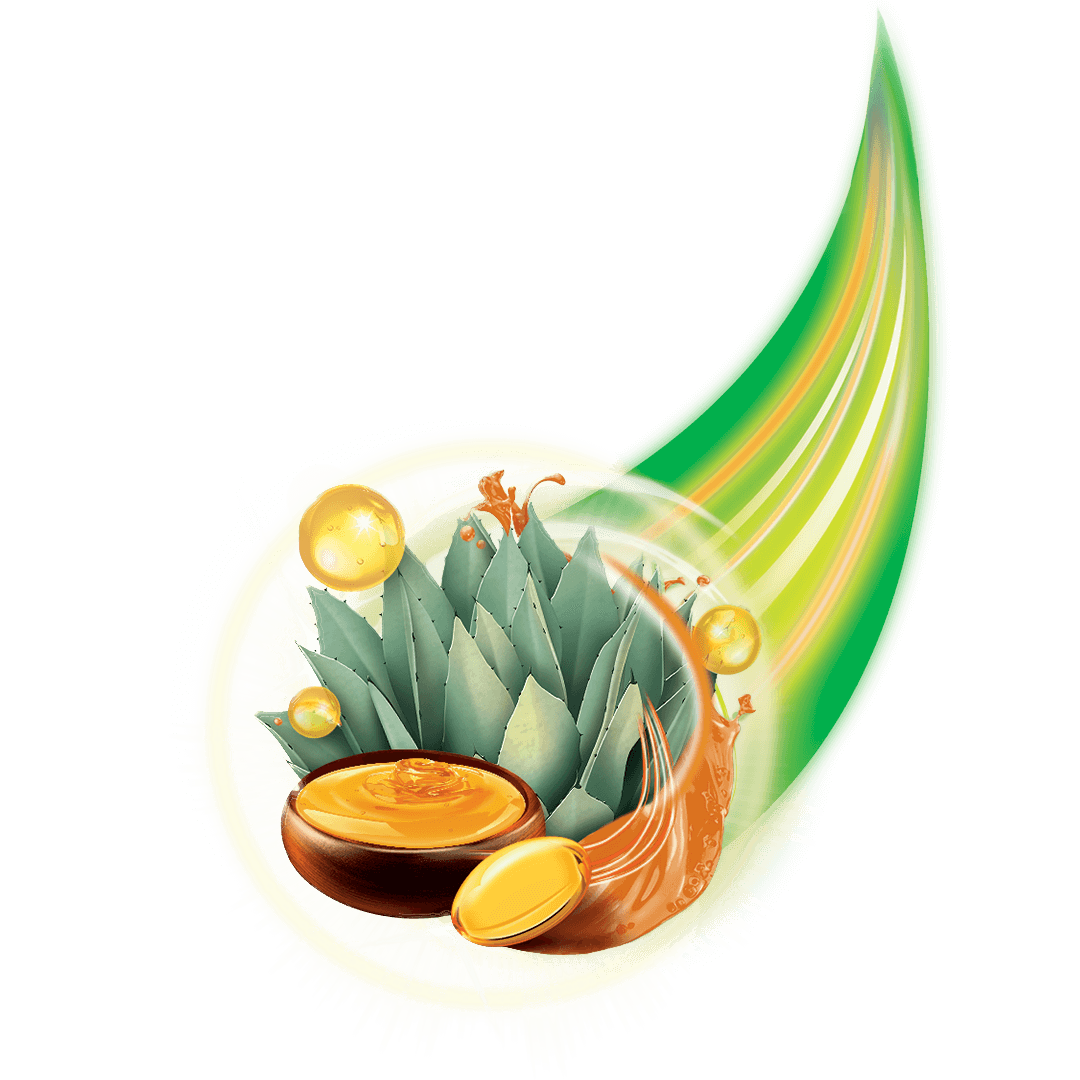 Miel de Agave Miel de Agave